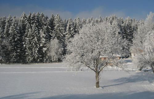 Ferienwohnungen Weber - Foto 13