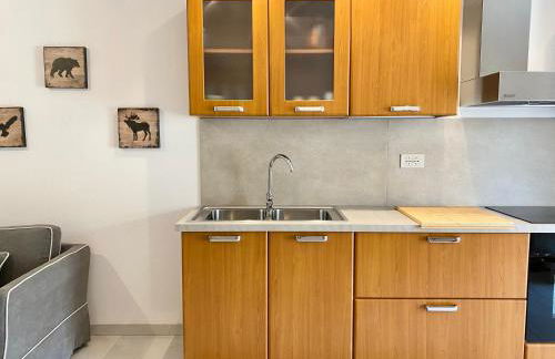 Piano terra con esterno privato vicino a Pinzolo - Foto 20