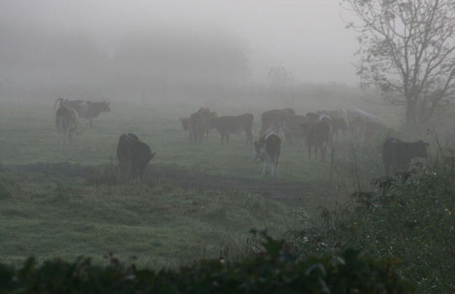 Poppenbull Thatched House - Foto 45