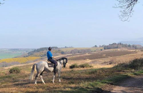 Sea views, private garden, comfortable family and dog friendly home - Foto 19