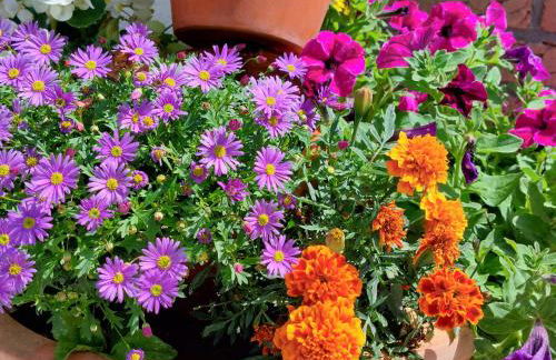 Ferienwohnung Pension Waldblick - Foto 42