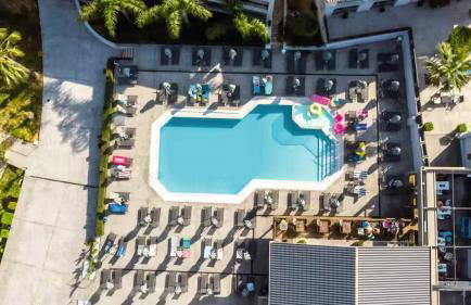 Red Rose Garden - Photo 25