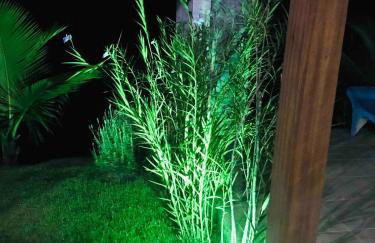 Nosso cantinho, Pedaço do paraíso na Natureza - Photo 35