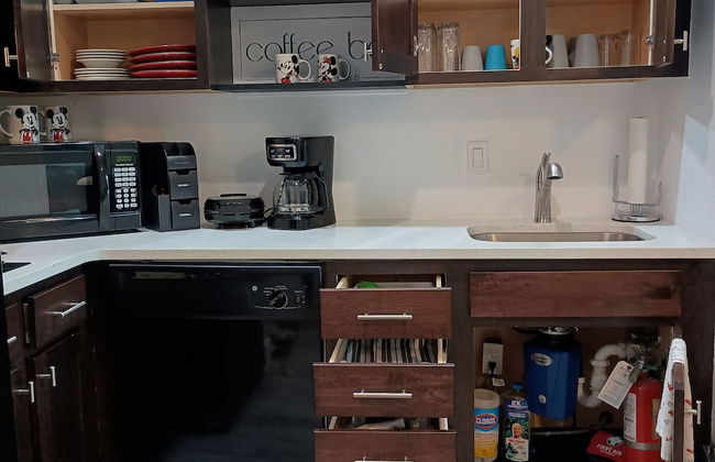 Free Shuttle 2 Queen Disney Area - Foto 24