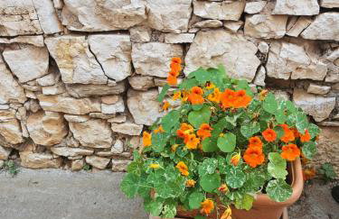 Plavo bijeli svijet - Photo 36