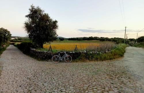 Retiro da cegonha - Foto 34