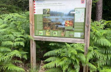 Wellness und Wander Oase Burgwald - Foto 24