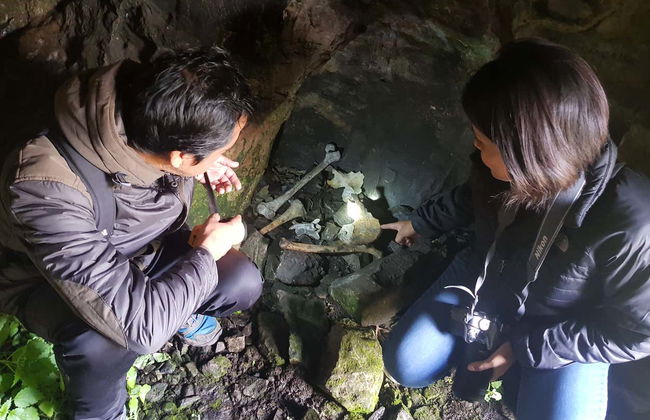 Tour de 4 dias pelos Andes Centrais - Foto 5