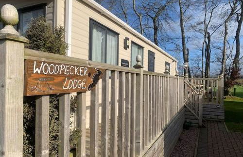Woodpecker lodge, Camelot Holiday Park, CA6 5SZ - Photo 12