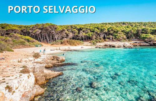 DELFINO - Ampio Appartamento a 40 metri dalla Spiaggia - Foto 40