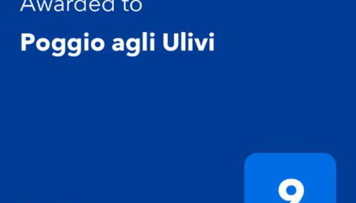 Poggio agli Ulivi vicolo di Colle Reti 22 Frascati - Foto 2