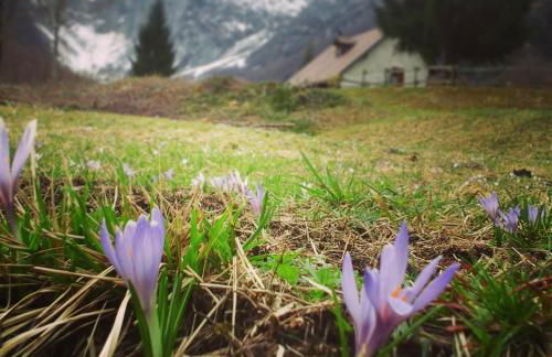 Agriturismo Pian Dei Tass - Foto 23