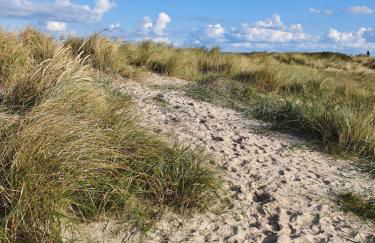 Ferienwohnung Möwennest - Photo 33