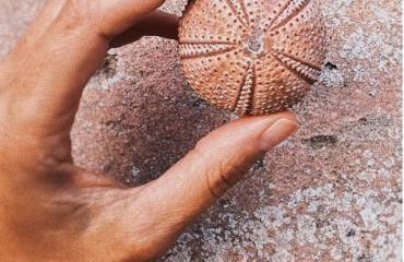 Villa Olivi - a natural paradise near Motovun - Foto 58