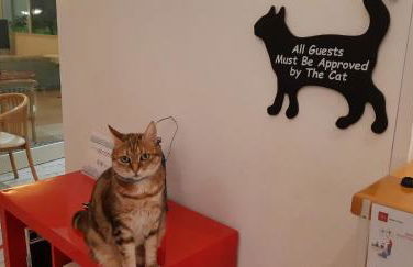 Mareblù - Tuscany Green Aparthotel - Foto 33