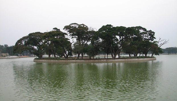 Compreendendo o Sikhismo e Visita ao Lago Ulsoor - Tour Privado - Foto 3