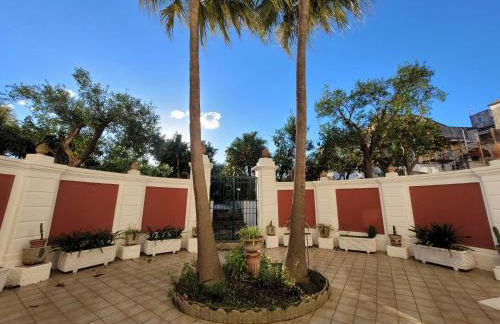 Seasuntour - Meta CC Palace - Foto 36