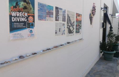 Elpida Andros - Foto 32