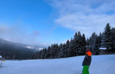 Ferienwohnung Maggie - Sankt Englmar - Foto 37