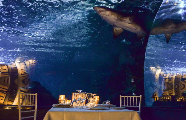 Sweet Memory Apartments - Foto 13