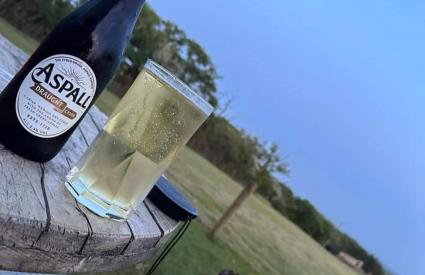 Tolverne Luxury Shepherd's Hut - Foto 12