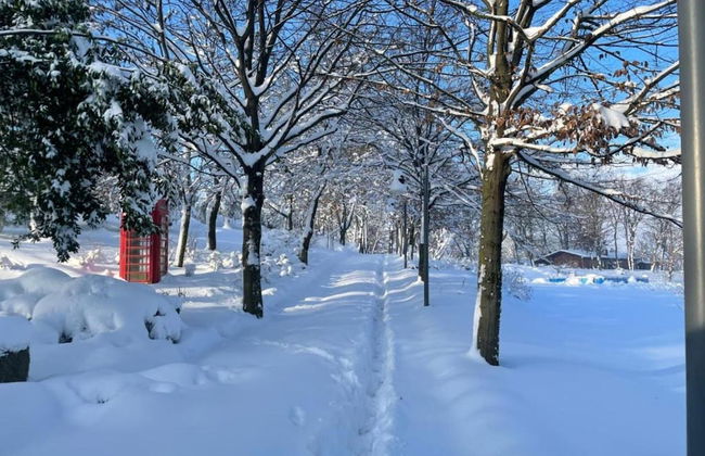 Gorgeous Vacation Home With Pool - Foto 22