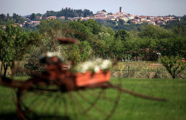Casa Rossa ai Colli - Photo 51