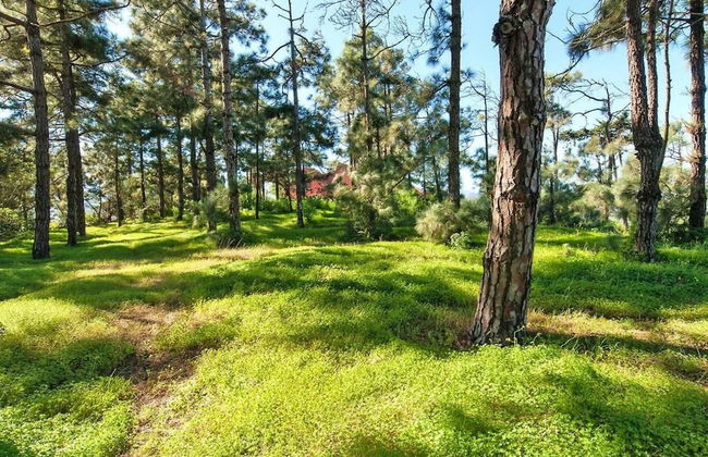 Luxurious Villa Oasis in Santa Brigida - Foto 25