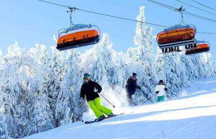 Fireplace, Ski-Okemo, Apple Trees, Piano, Amazing Views, Firepit, Priory, Pool, Fields, Theatre! - Foto 68