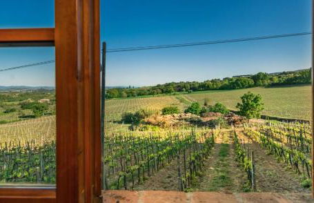 Agriturismo Palazzo Bandino - Wine cellar, on reservation restaurant and spa - Foto 7