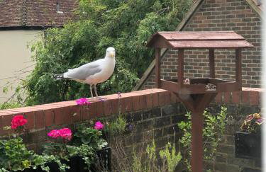 Kingfisher House - Sandwich - Foto 27