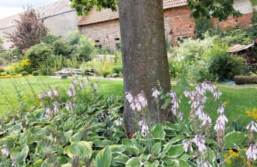 Ferienwohnung am Drömling Südheide - Gerda - Foto 37