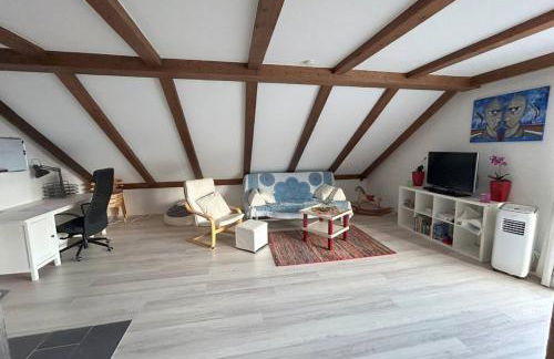 Must love dogs - Foto 3