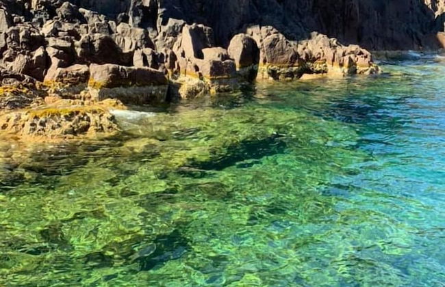 Corsica Paradise - Photo 39