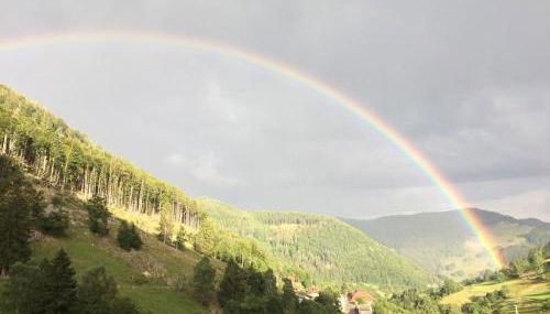 Winter-Nest - Foto 3