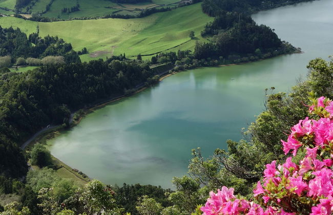 Furnas Day Trip + Gorreana Tea Plantations - Photo 2