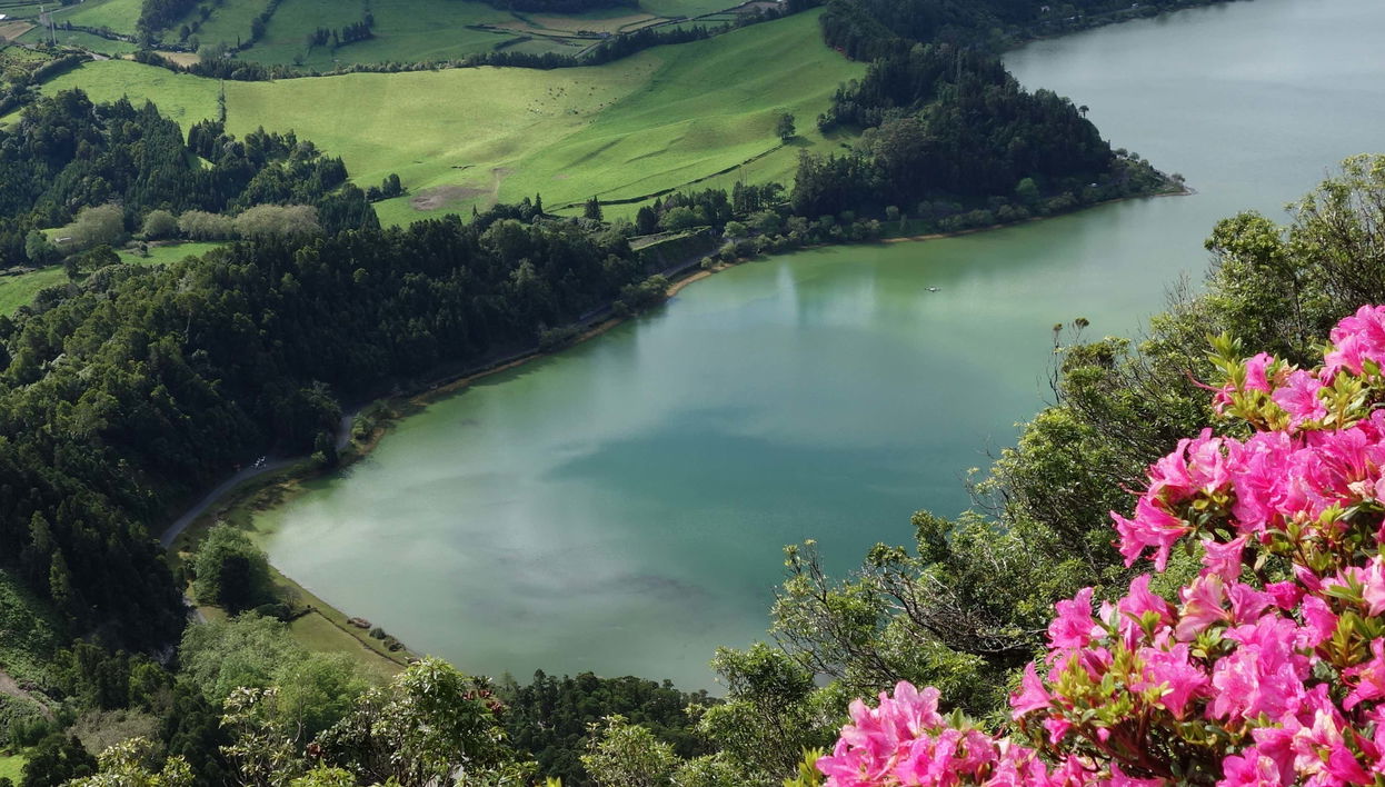Escursione a Furnas + Piantagioni di té