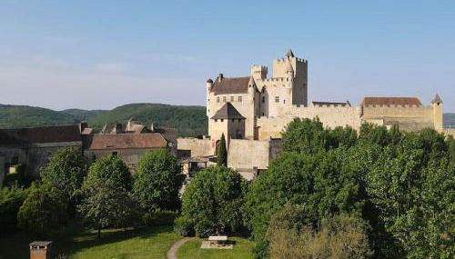 DREAM HOUSE in front of CHATEAU DE BEYNAC in Perigord , Dordogne - Foto 4, Garden