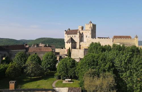 DREAM HOUSE in front of CHATEAU DE BEYNAC in Perigord , Dordogne - Foto 4