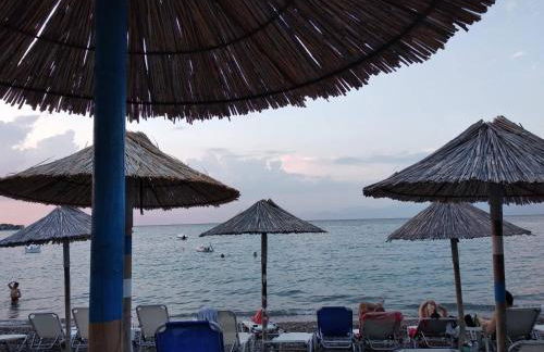 SgS Luxury Apartments - Foto 51