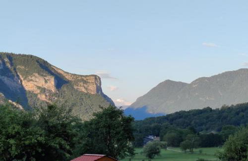 C le birdie - Foto 25