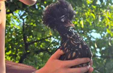 Agroturystyka Nad-Stawem 2 - Foto 19