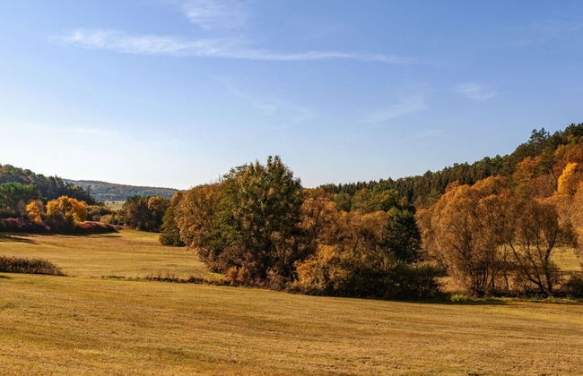 Nice Apartment in Daun-waldkonigen - Photo 13