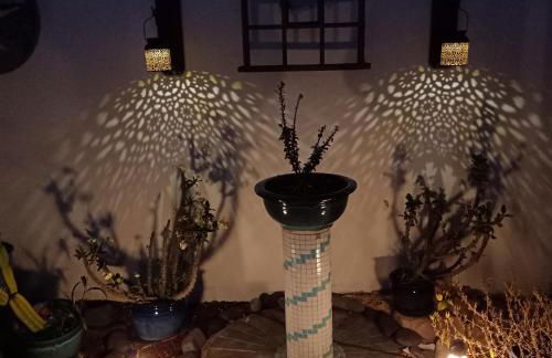 CASA CALMA - Photo 17