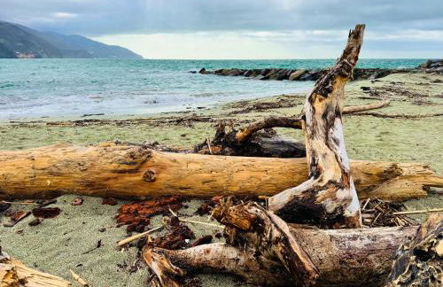 Wave House, 5 Terre - Foto 61