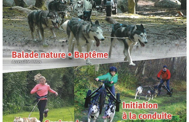 Kabanéo - Gîte et Sauna- Samois sur Seine - Forêt de Fontainebleau - Foto 24