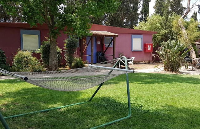 Mizra Guest House - Foto 19