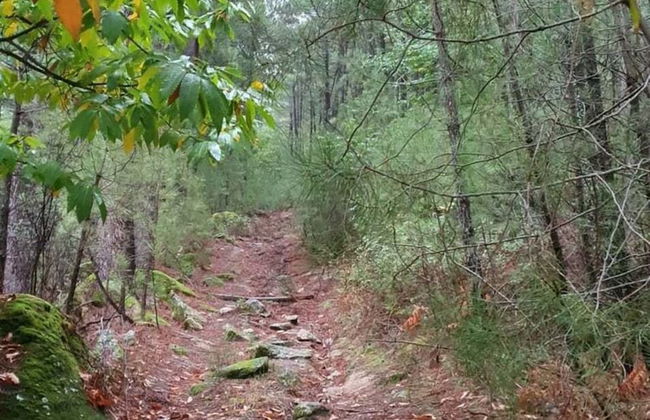 Belvilla by OYO Single Chalet en La Adrada - Foto 62