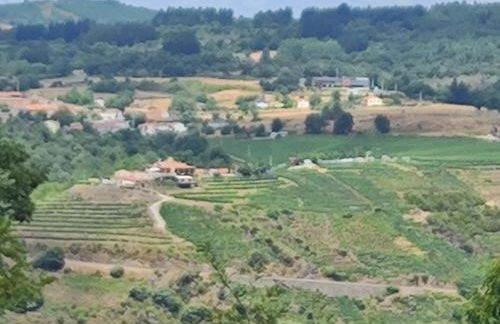 Casa Sindo - Foto 23