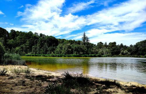 Le Picholine - Foto 38